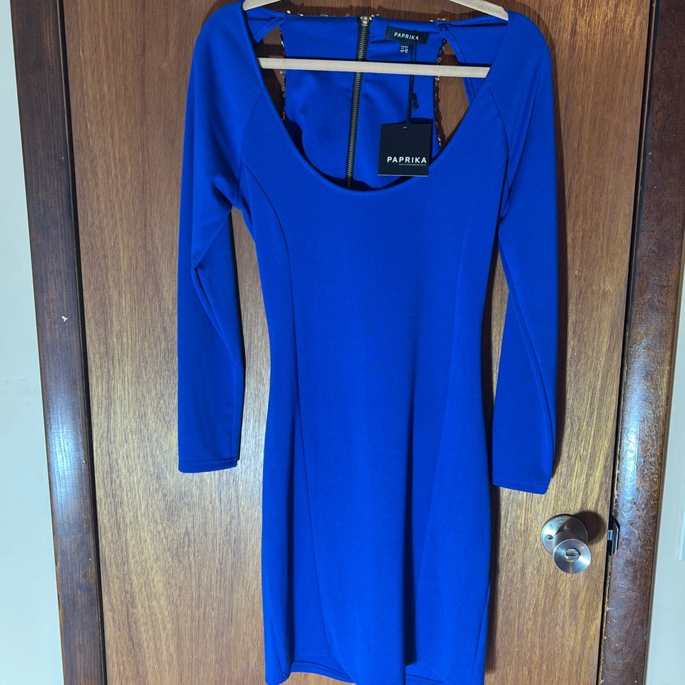 Paprika Blue Bodycon Long Sleeve Dress